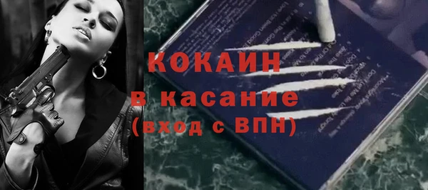 шишки Вяземский