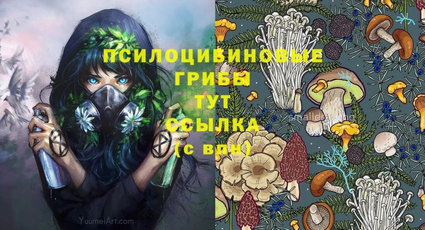 шишки Вяземский