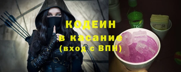 шишки Вяземский