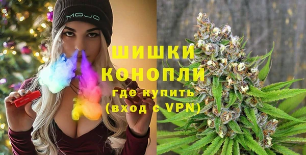 шишки Вяземский