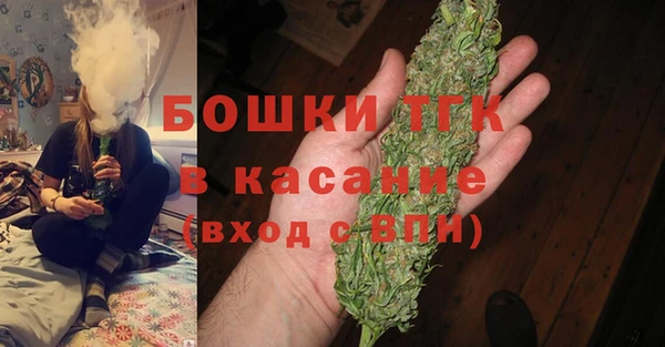 шишки Вяземский